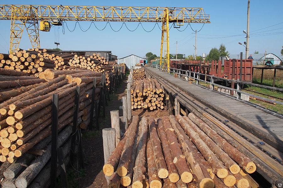 Брати Місюри нелегально експортують український ліс – розслідування